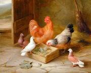 unknow artist, Poultry 093